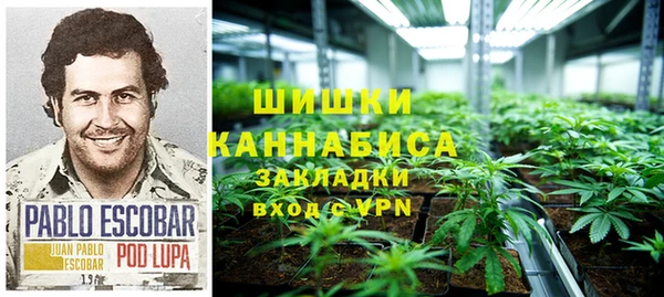 крисы Алексеевка