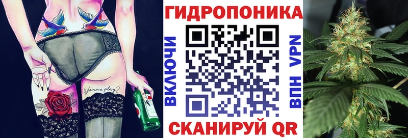 мега сайт  Берёзовка  Бошки марихуана AK-47 